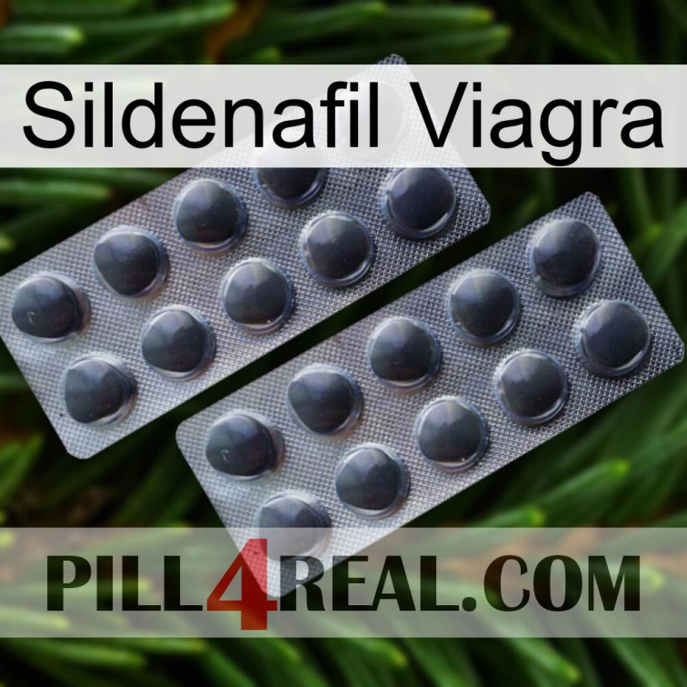 Sildenafil Viagra 31